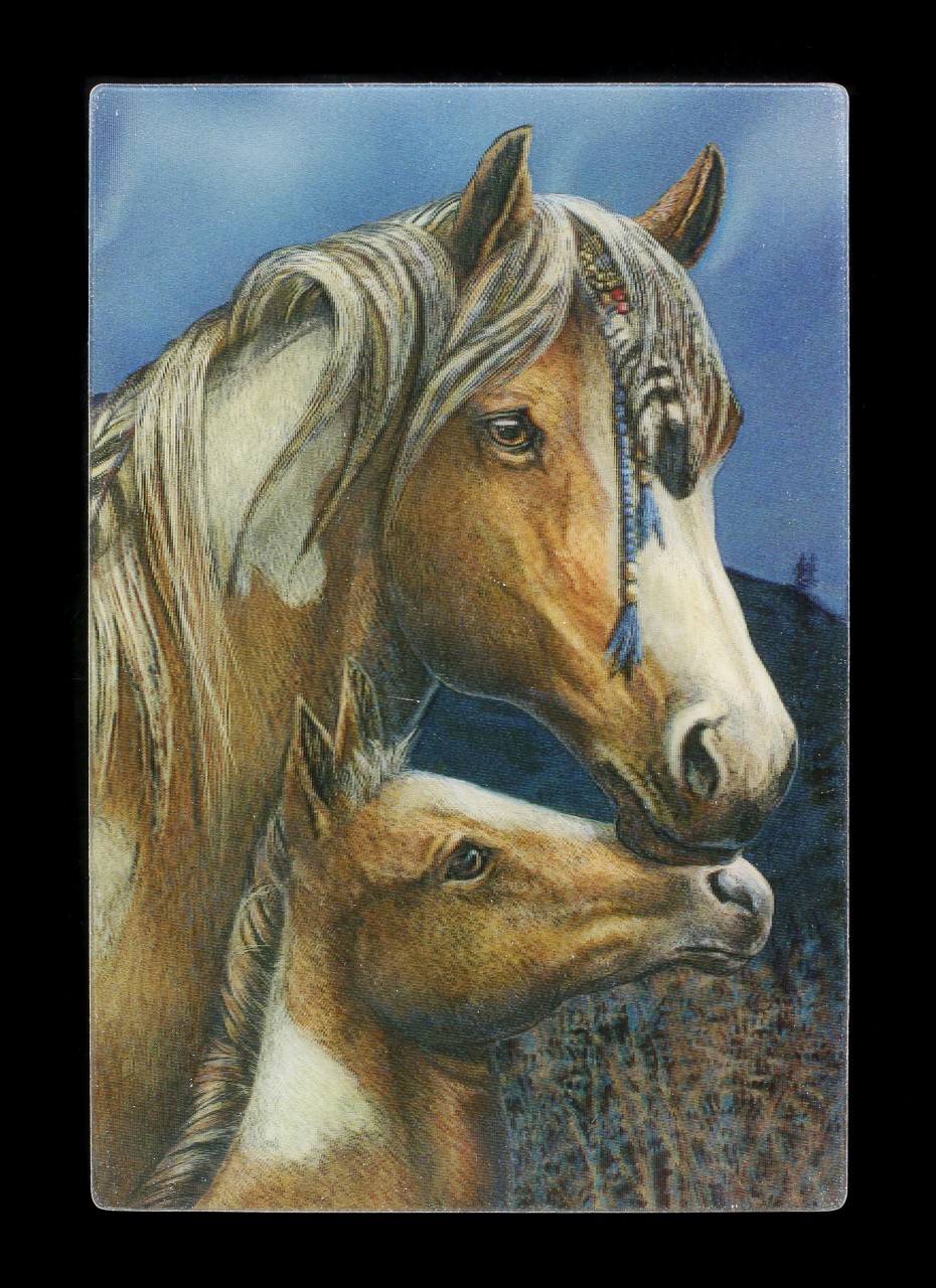 3D Postkarte mit Pferden - Apache