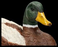 Gardening Figurine Duck - Mallard Drake Lying