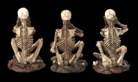 Skeleton Figurines Sitting Set of 3 - No Evil