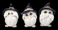 Three Wise Witch Owl Figurines - No Evil