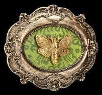 Barockes Wandrelief - Moth Macabre - oval