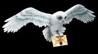 Wall Plaque Harry Potter - Owl Hedwig