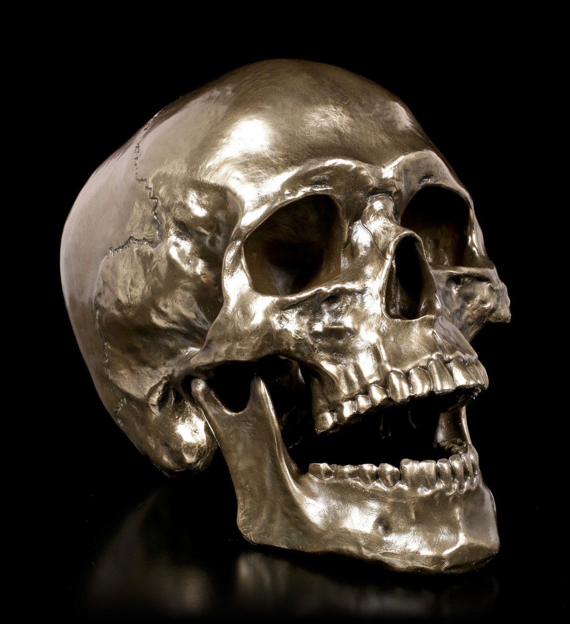 Totenkopf mit beweglichem Kiefer - Cranius