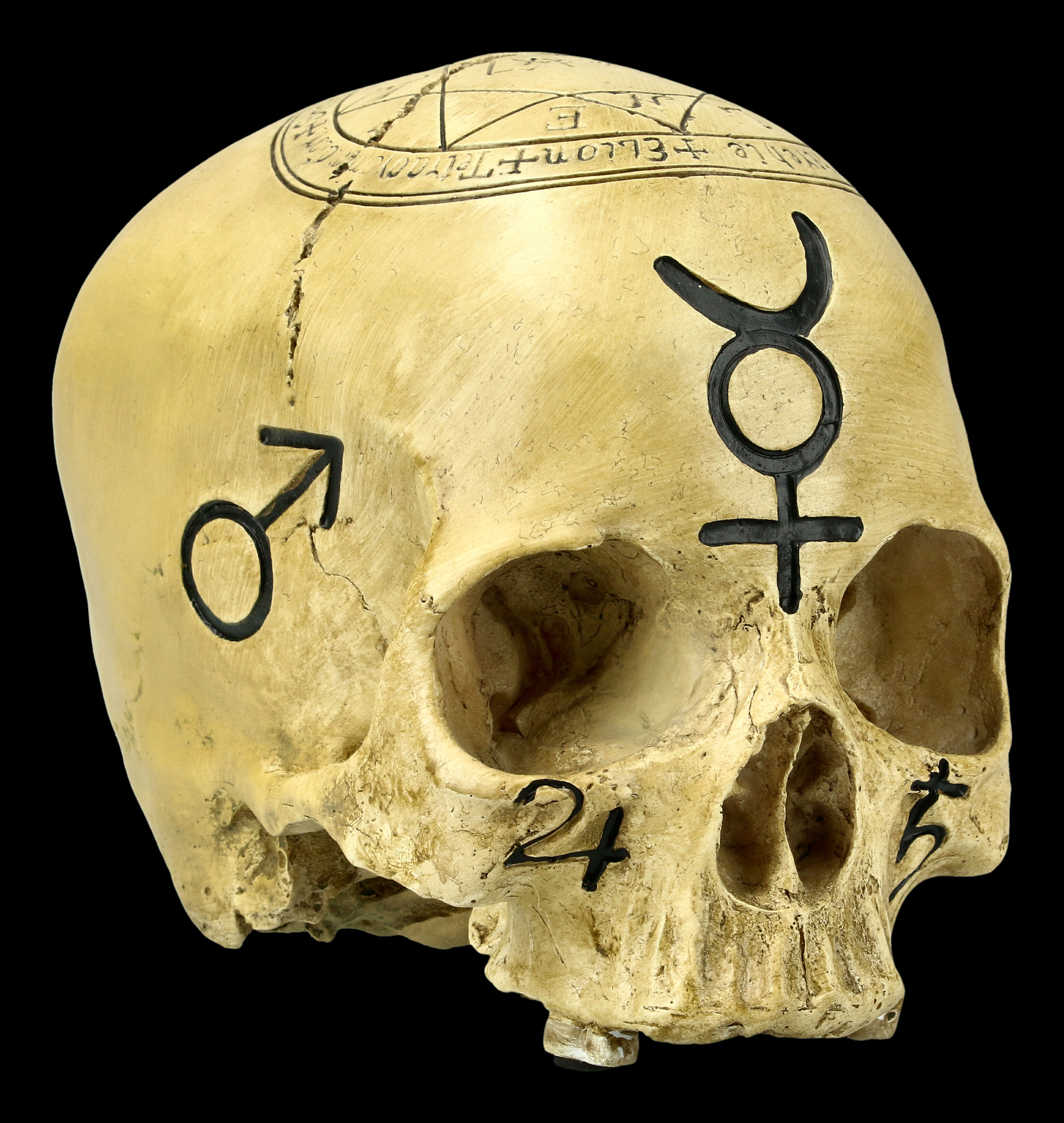 Durchsichtig Kristallsch/ädel-Optik Deko Skull Lila Totenkopf Figur