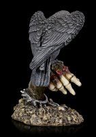 Raven on Skeleton Hand