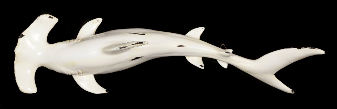 Wall Plaque - Deep Sea Hammerhead Shark