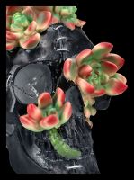 Skull Figurine with Succulents