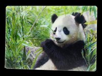 3D Postkarte - Pandas