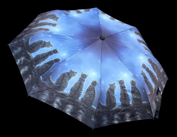 Regenschirm mit Katzen - Wish Upon A Time