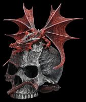 Dragon & Skull Box - Serpent Infection
