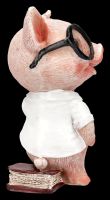 Witzige Schweinefigur im Hemd mit Krawatte - Preston