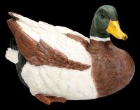 Gardening Figurine Duck - Mallard Drake Lying