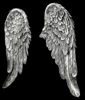 Wall Decoration - Angel Wings Silver Coloured