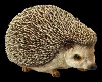 Small Hedgehog Figurine