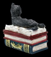 Schatulle - Katze auf roten Büchern