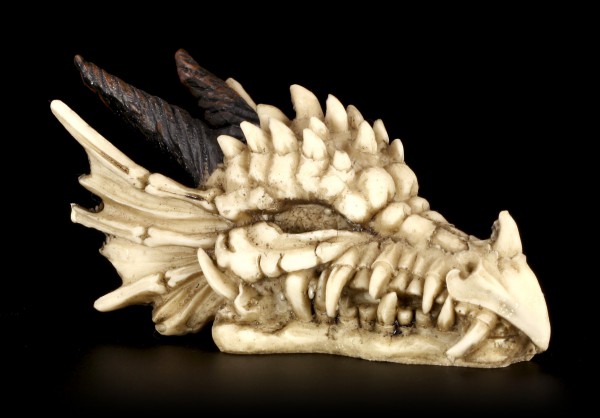 Totenkopf - Drachenschädel mit Hörnern