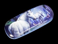 Glasses Case with Unicorn - The Journey Home