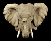 Elefanten Kopf Wandrelief