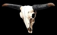 Wall Decoration - Longhorn Skull Large