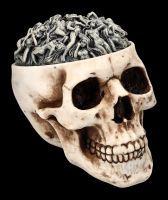 Skull Box - Hells Desire Top