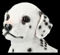 Garden Figurine - Dalmatian Puppy