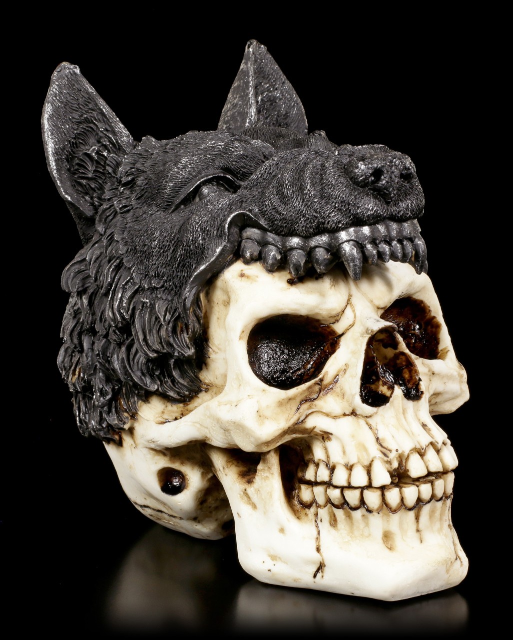 Skull with Wolf - Sharman