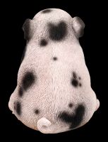Schweine Figur - Geflecktes Schweinchen Baby