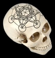 Skull - Sacred Geometry - Metatron&#39;s Cube