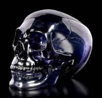 Dark blue Skull with moveable Jaw