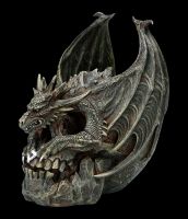 Dragon on Skull - Draco Skull
