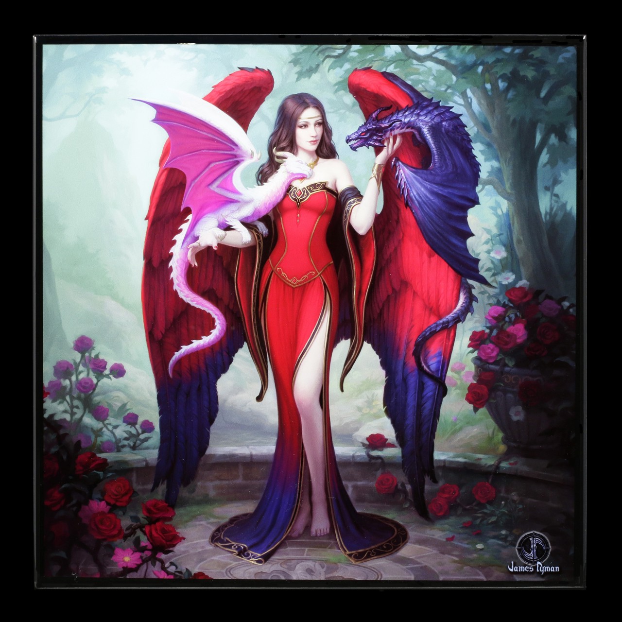 Kleines Hochglanz Bild mit Drachen - Dragon Mistress