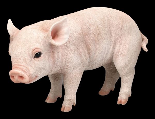 Schweine Figur - Ferkel Schweinchen