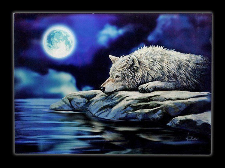 Large Wolf Glass Picture - Quiet Reflection