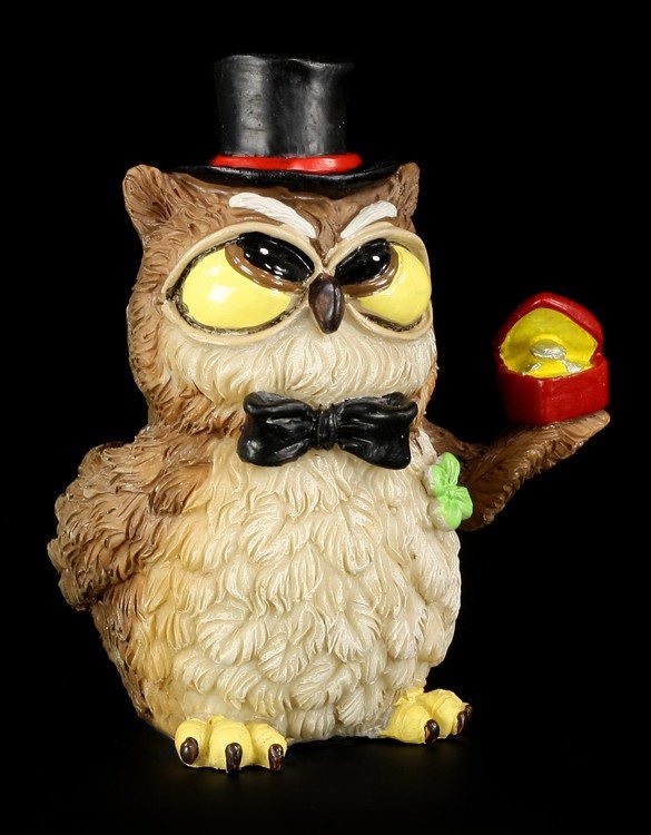 Groom Owl - Funny Figurine