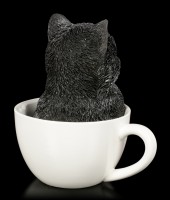 Black Kitty in Cup