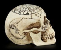 Astrological Skull - Sign Of The Zodiac