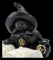 Witches Cat Figurine - Familiars Brew