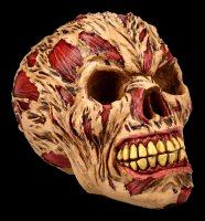 Zombie Skull - The Hoard