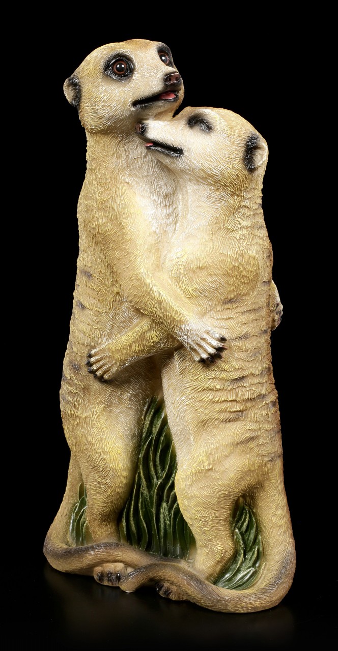 Garden Figurine - Meerkat Couple hugging each other