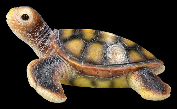 Gartenfigur Schildkröte - Wasserschildkröte
