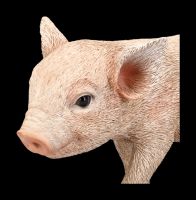 Pig Figurine - Little Pig