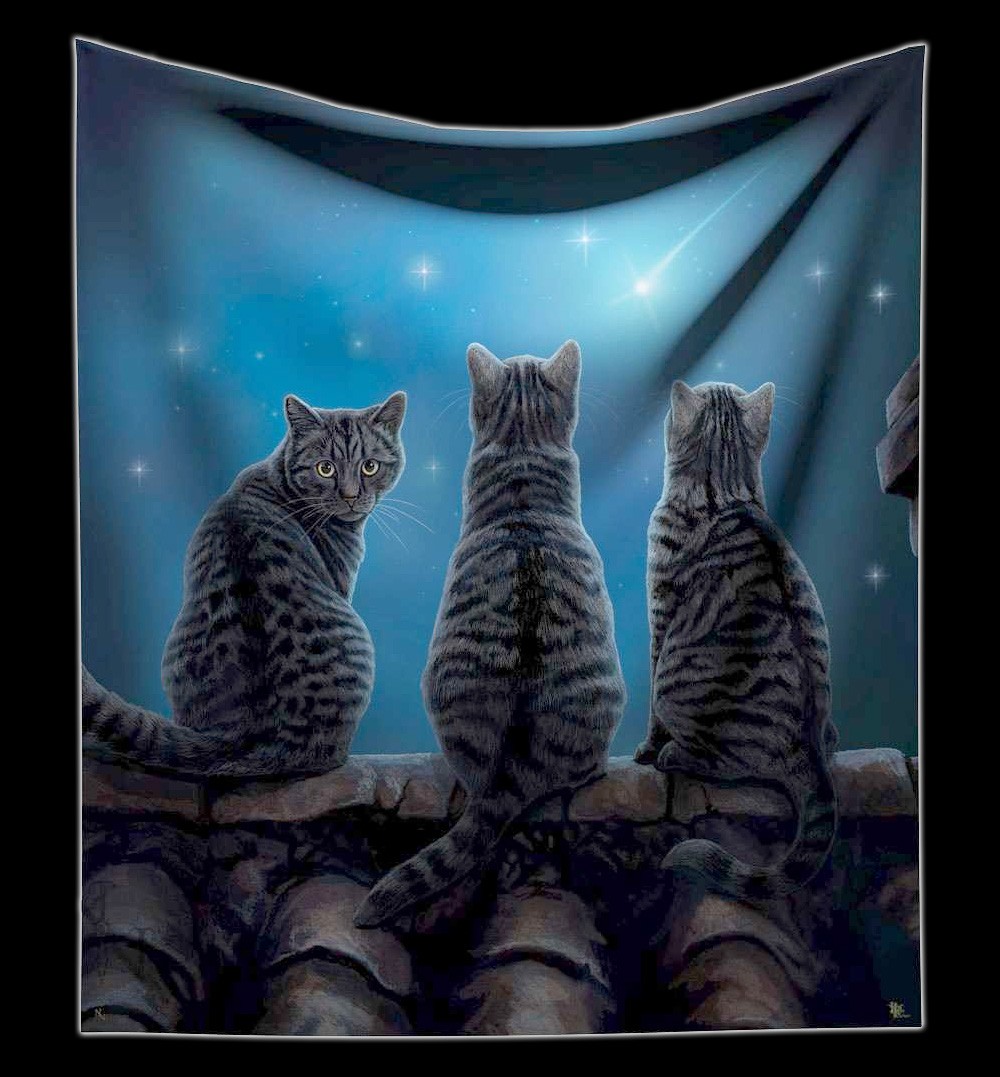 Fluffy Blanket Cats - Wish Upon a Star by Lisa Parker