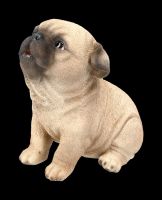 Dog Figurine - Pug Puppy