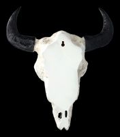 Wall Decoration - Bison Skull