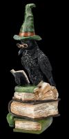 Raven Figurine - Witchcraft Raven