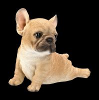 Hunde Figur - Französische Bulldogge Welpe