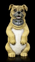 Dupers Figurine - Cat in Dog Costume
