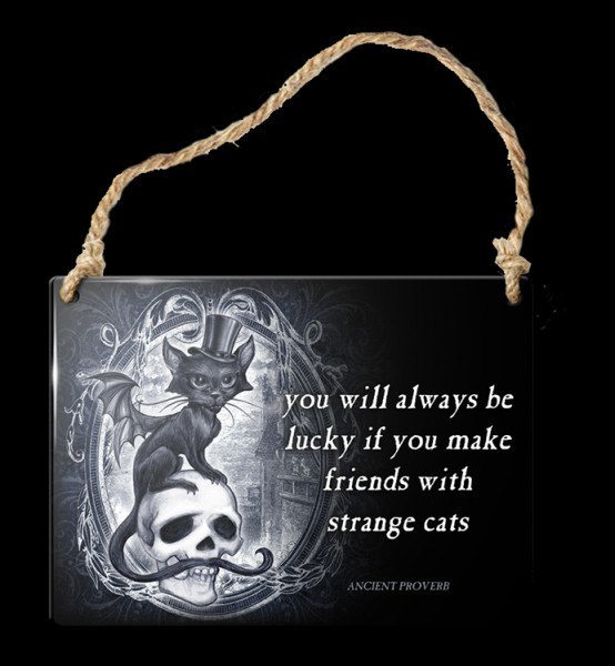 Alchemy Gothic Strange Cats Small Black Steel Metal Hanging Wall Plaque Sign Art 