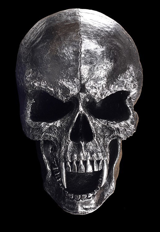Large Skull Wall Plaque - The Scavenger