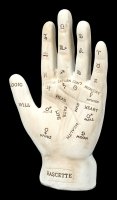 Palmistry Hand - white